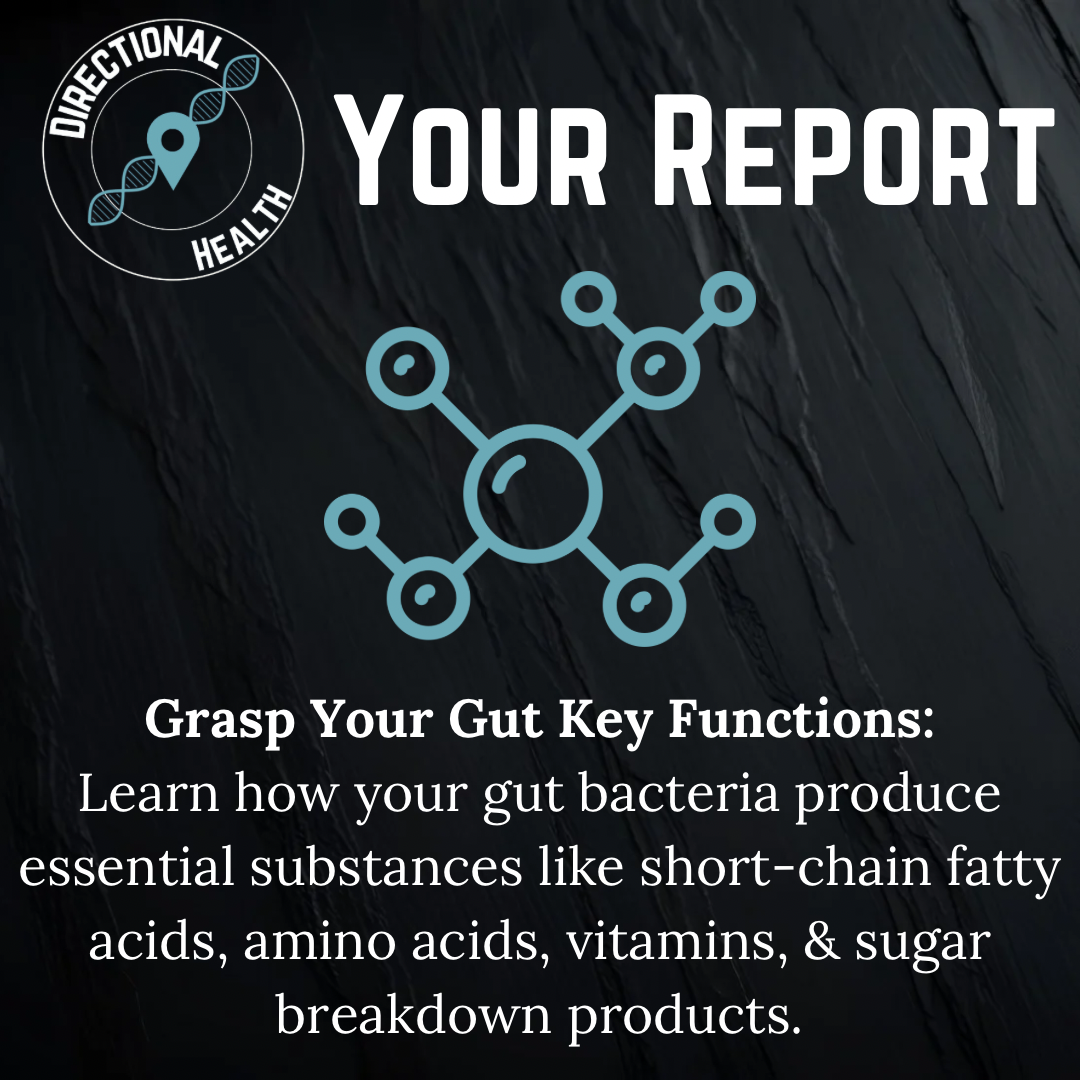 Gut Health Microbiome Test: Balance Your Gut, Balance Your Life