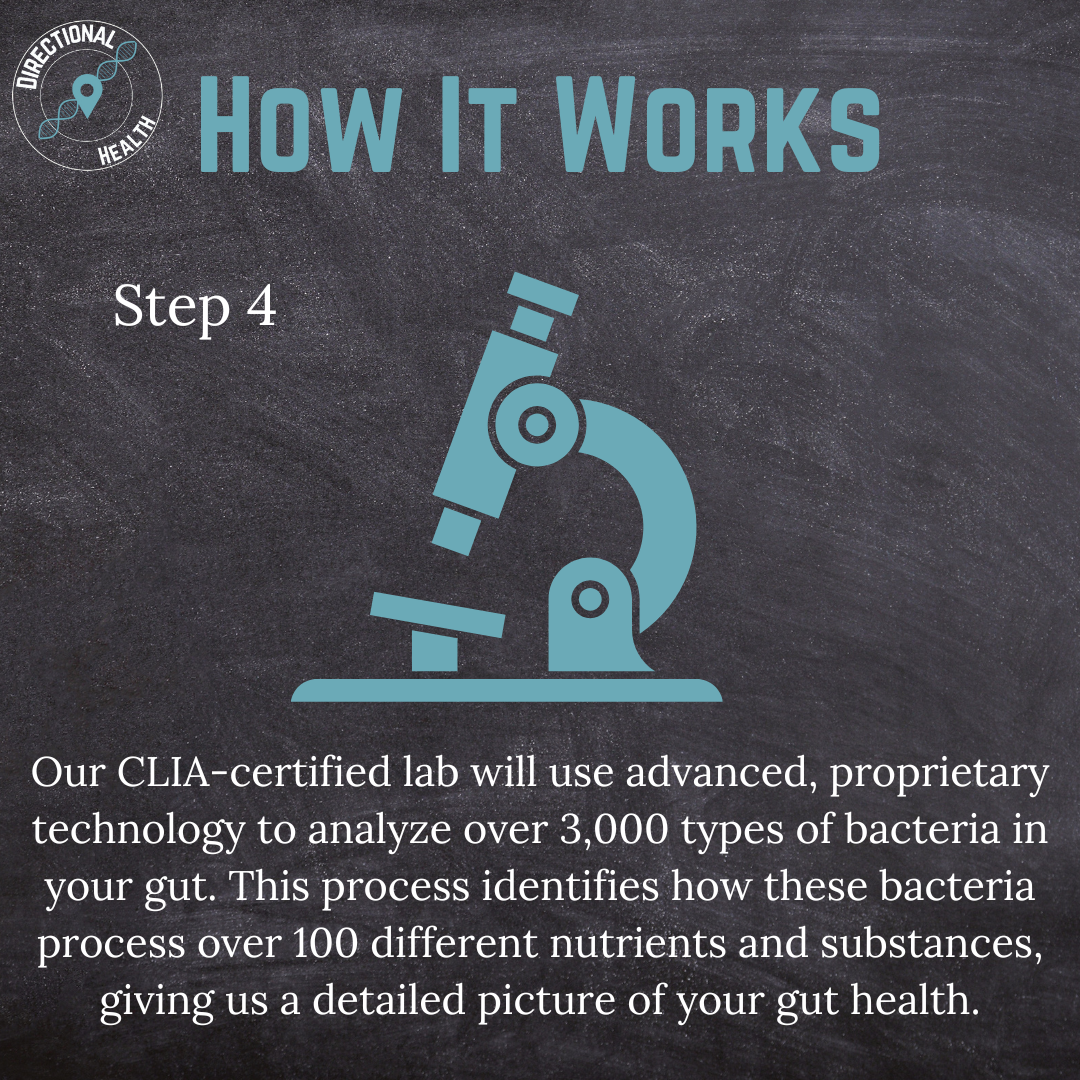 Gut Health Microbiome Test: Balance Your Gut, Balance Your Life